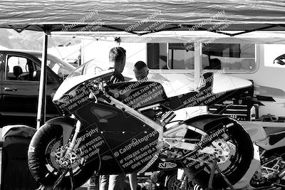 media/Mar-13-2022-SoCal Trackdays (Sun) [[112cf61d7e]]/Around the Pits/